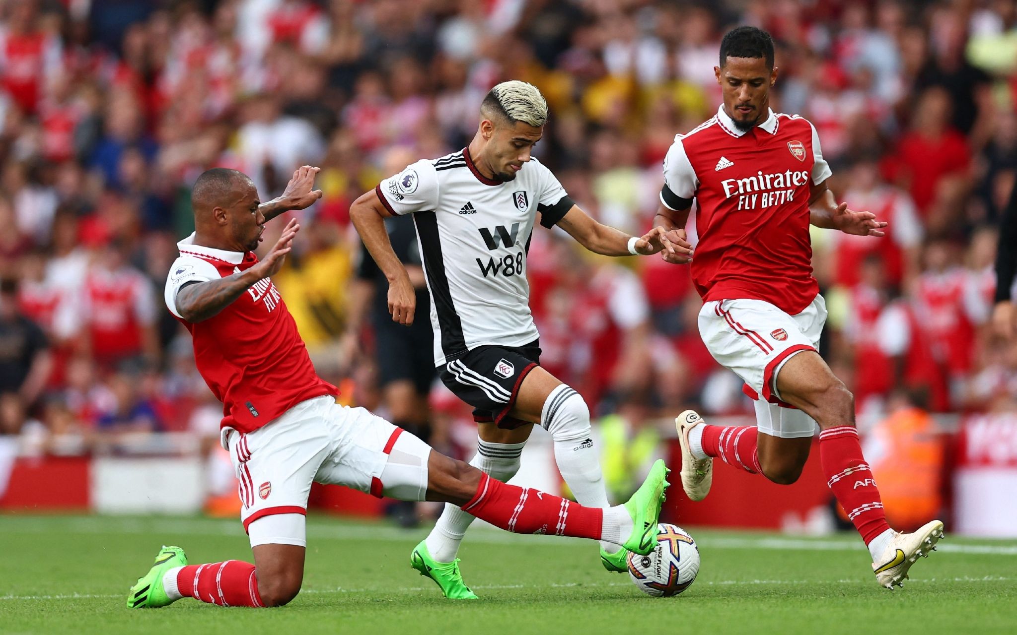 果中占据了 果中占据了